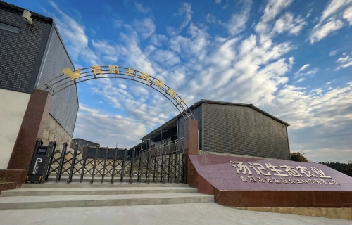 县委书记、县长方操胜调研乡村振兴和农业产业化工作